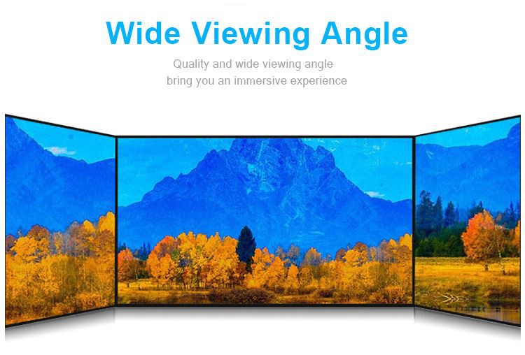 65 inch lcd display
